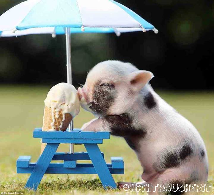 Wunschgewicht Seminar Glücklich zum Idealgewicht